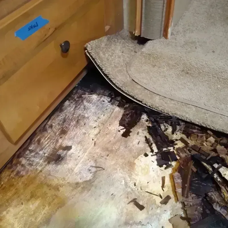 Wood Floor Water Damage in Malone, FL